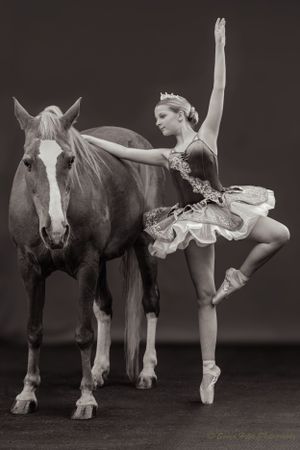 A graceful ballet dancer in a tutu strikes a pose beside a horse in a black and white artistic portrait.