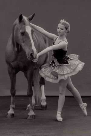 A black and white portrait shows a ballet dancer in a detailed tutu posing with a horse.