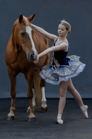 A ballet dancer in an ornate costume performs a graceful pose while touching a brown horse's face.