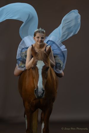 Artistic portrait with blue wings and a brown horse with white blaze against dark background.