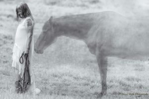 Ethereal black and white image showing misty silhouette of horse in field. Sonya Helm Equine Photography, Bristol, TN