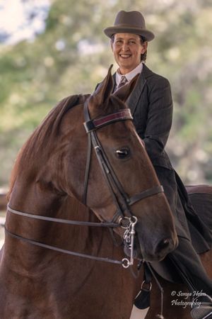 An equestrian rider in formal dress aboard a brown horse during a show. Sonya Helm Equine Photography, Bristol, TN