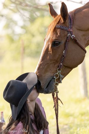 Brown horse wearing decorated bridle in soft natural lighting.