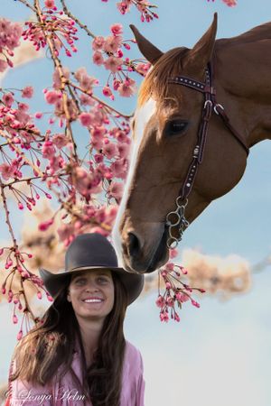 Horse and rider under blooming cherry blossoms in spring with pink flowers in background.