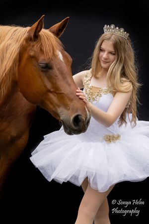 A series of artistic photos showing a horse interacting with someone in a white tulle dress and tiara against a dark background.