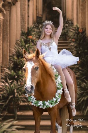 Series of ballet-themed photos with a chestnut horse wearing a floral wreath in an elegant columned setting.