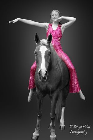 A performer in a pink sequined outfit strikes a pose while balanced on a black horse with white markings.