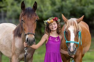 Two beautiful horses with brown and beige coats stand together on a sunny day in a grassy field.