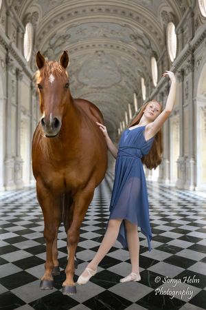 A graceful dance composition with a horse and dancer in a checkered-floor ballroom with ornate architecture.