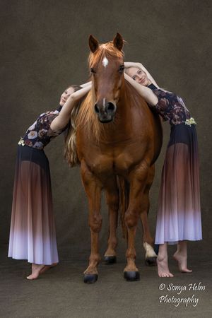 Chestnut horse stands between two dancers in flowing ombre dresses in artistic studio portrait.