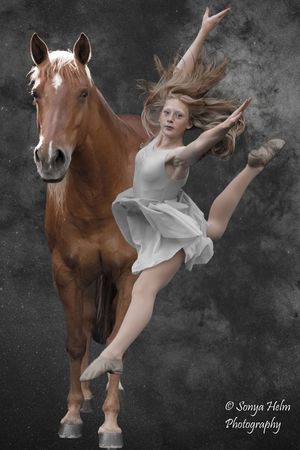 Dramatic dance sequence with a chestnut horse against a dark textured background showing graceful movements.