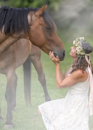 A beautiful bay horse gently interacts with someone in a white dress in a series of tender moments outdoors.