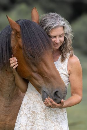 A sequence of intimate photos showing a bay horse and someone wearing a white lace dress sharing sweet moments together.