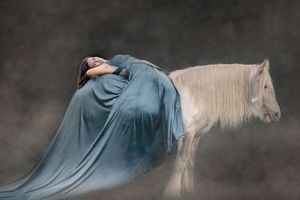 A series of artistic photographs depicting a horse and flowing fabric in motion against a dark background.