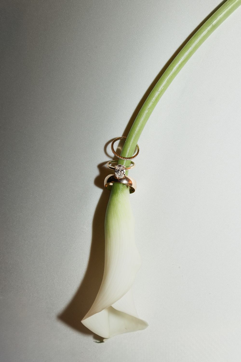 A diamond ring placed on a drooping green flower stem with a closed white bud.