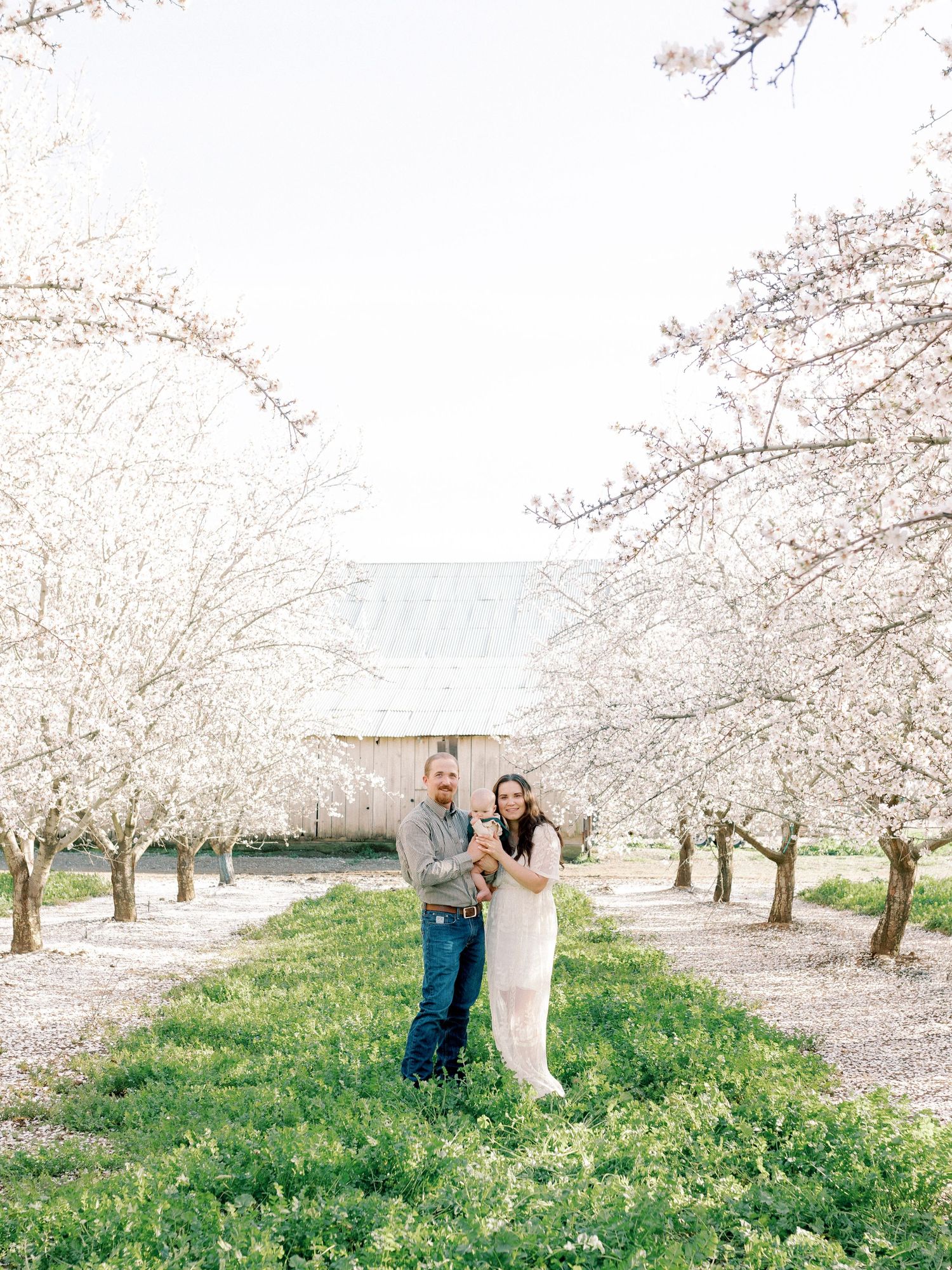 A family of three standing amongst the blooming almond blossoms captured by Kaitlin Stoltenberg for a Mini Session.