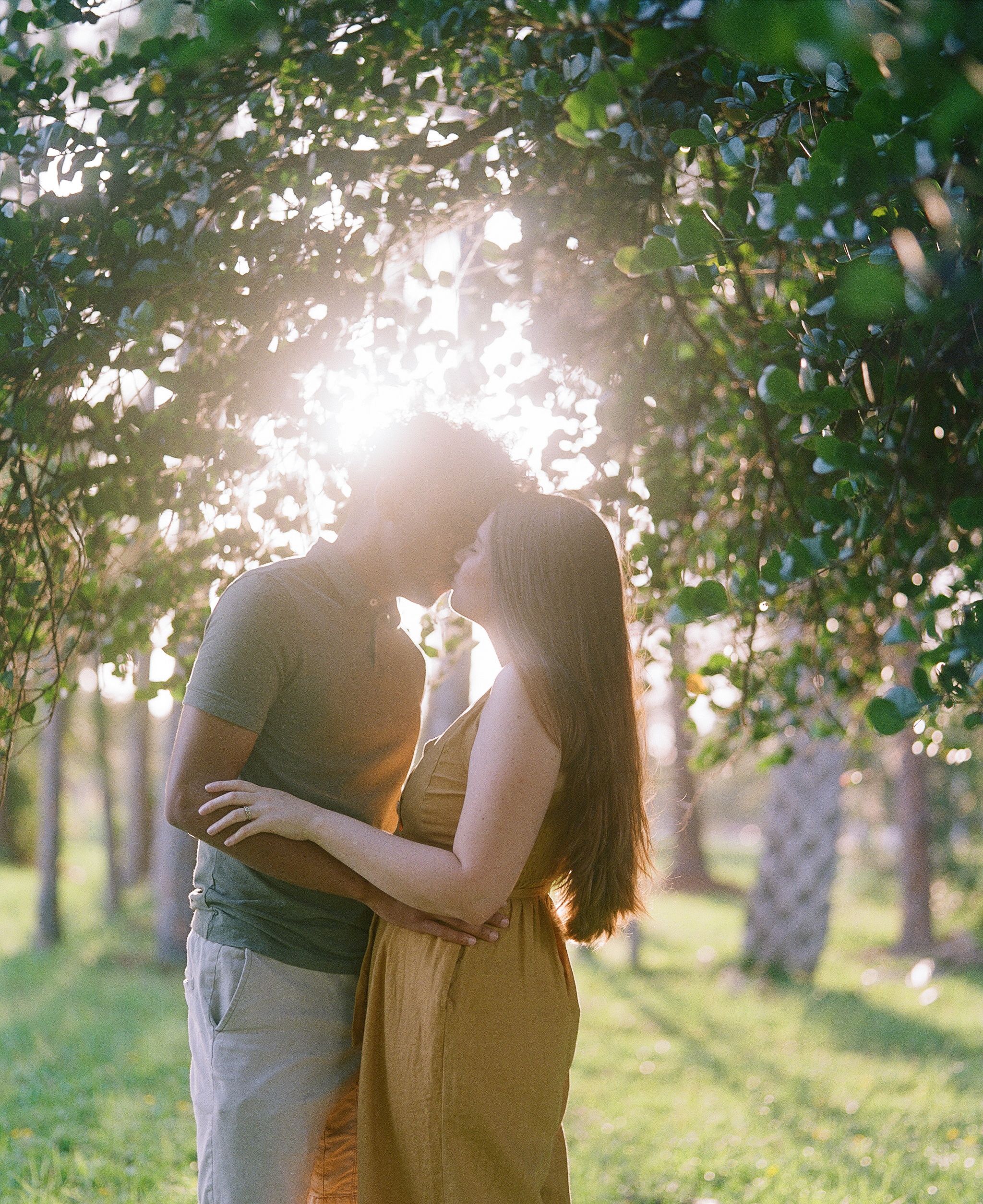Romantic silhouette of couple embracing in sunlit garden with trees.