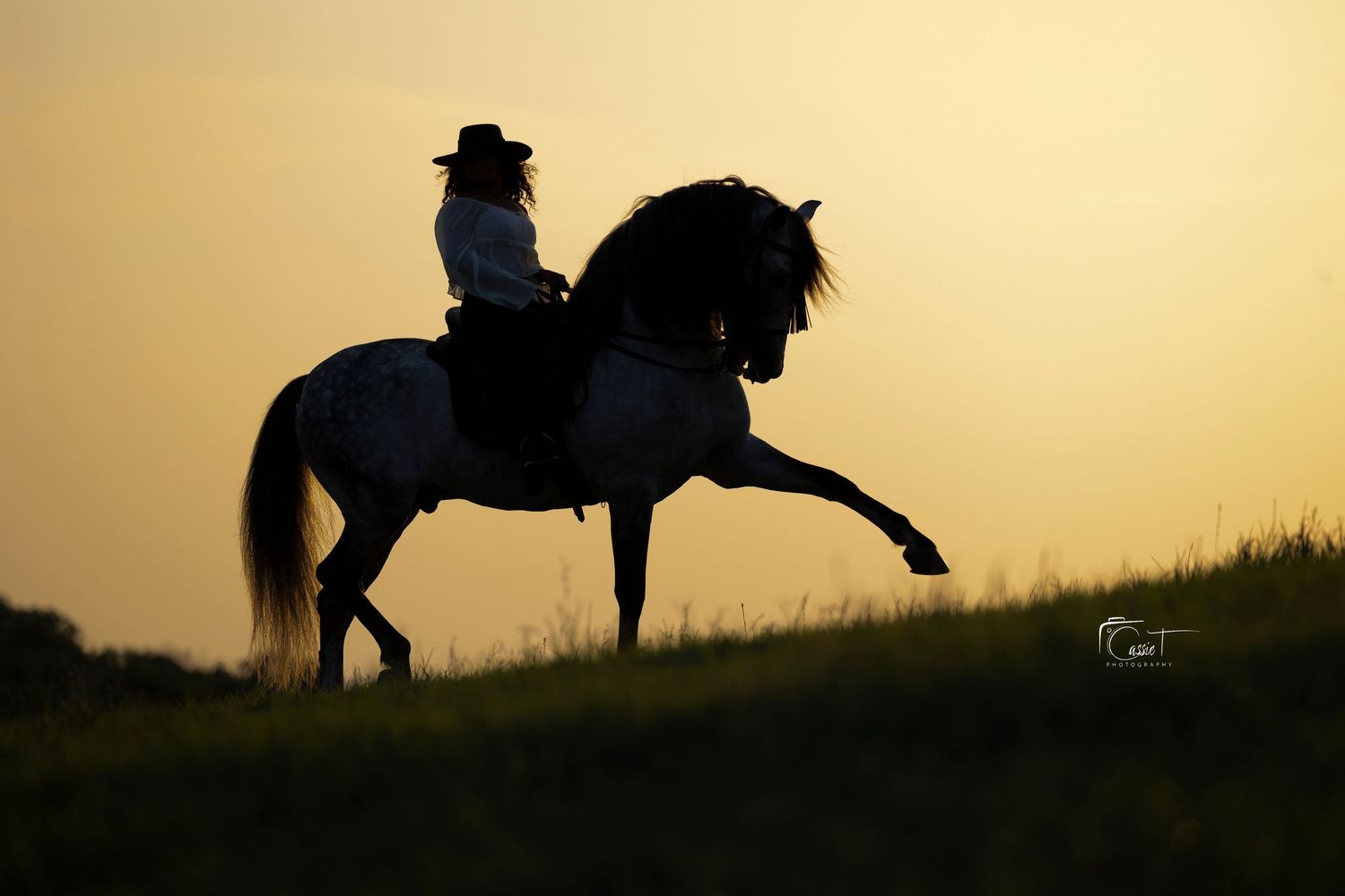 Silhouettes of horse and rider performing a Spanish walk across a golden sunset horizon.