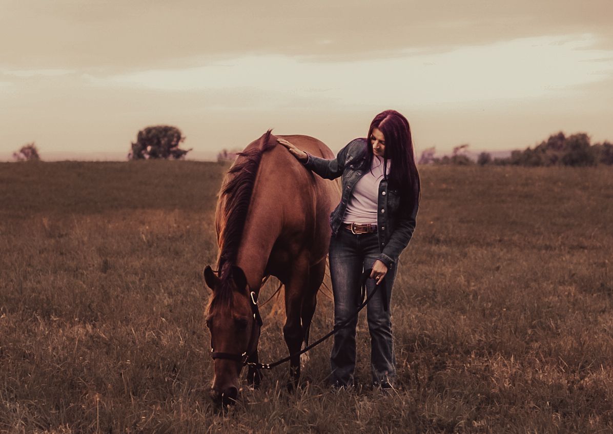 A peaceful scene of a brown horse grazing in a misty field at dusk.