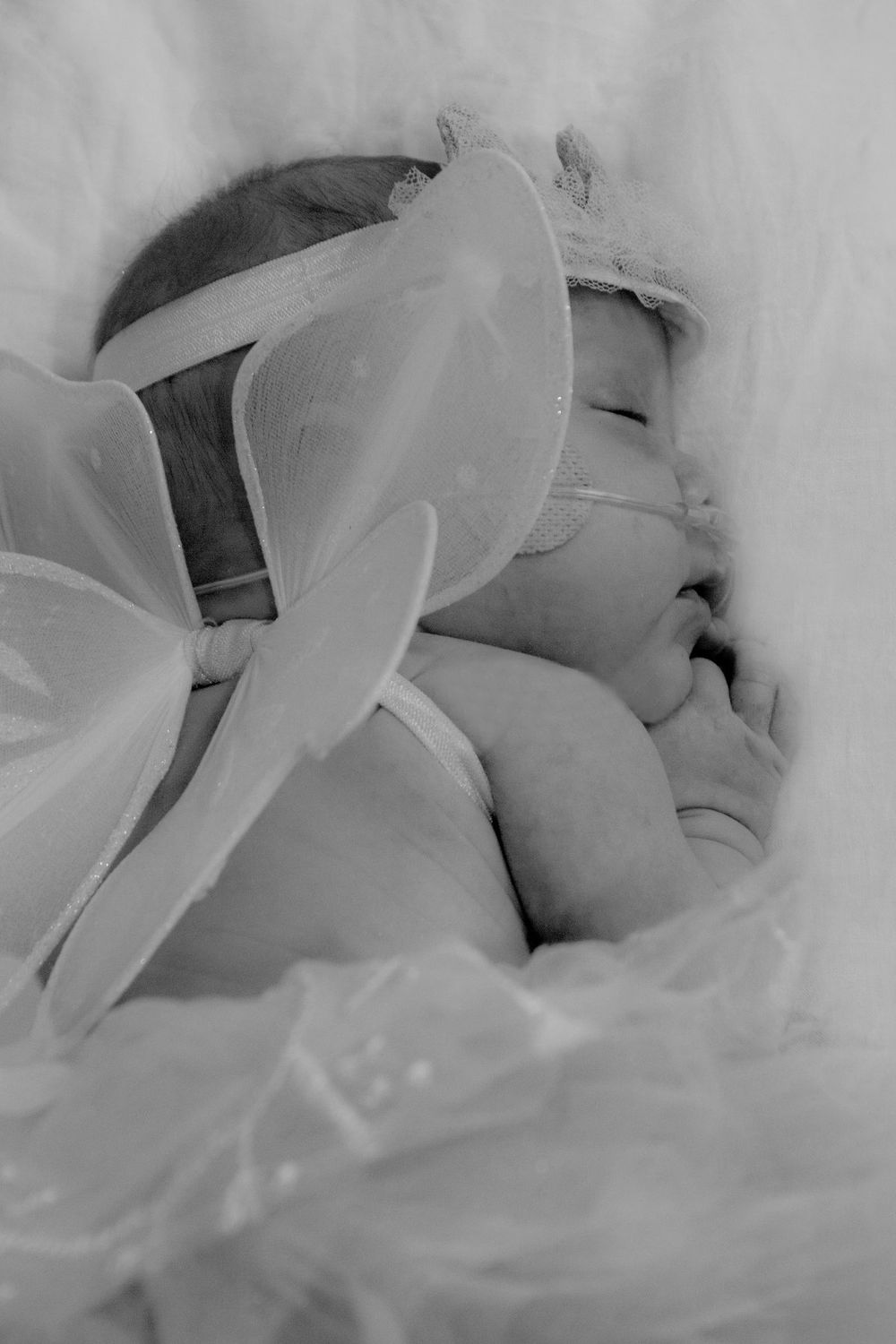Newborn Photography
kid photography
child photography
Portrait photography
family photography