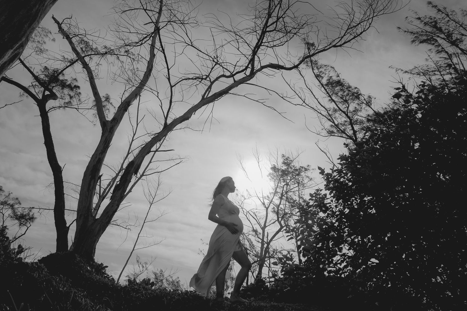 Silhouette of a pregnant figure against a dramatic sky with bare trees.