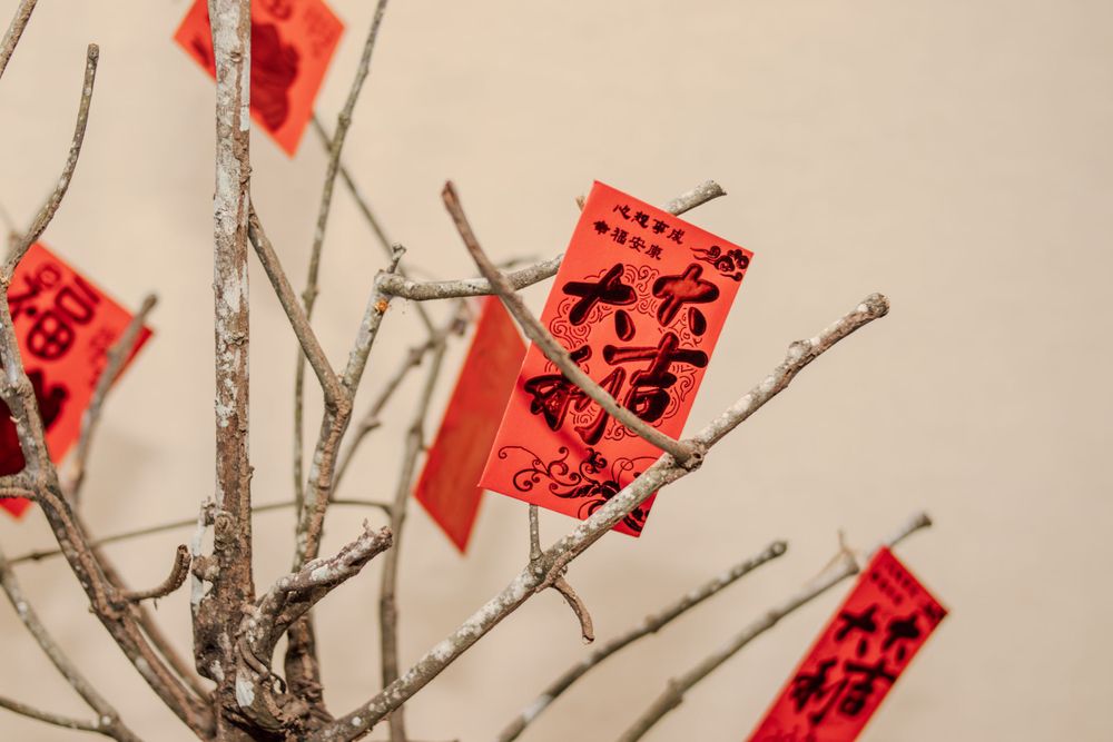 Red Chinese New Year wishes written on paper decorations hanging from bare tree branches.