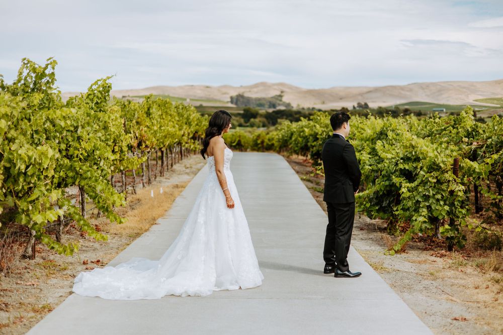 A couple stands on a road between rows of grapevines in a vineyard against rolling hills on their wedding day.