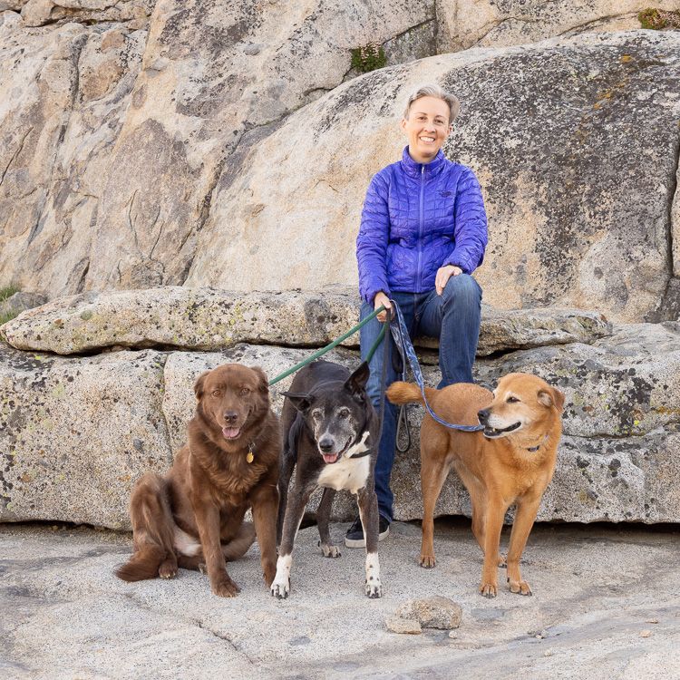 Photo session with dogs at the Rainbow Bridge in Truckee, California near Lake Tahoe Area by Cindy Tucey Photography