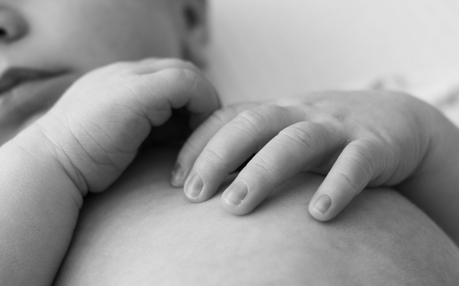 black and white close up of newborns hands
