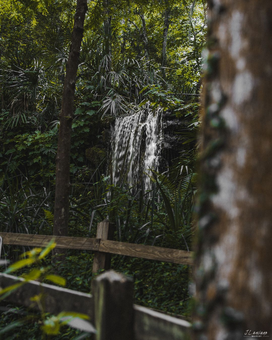 A serene waterfall flows through lush tropical forest with a wooden walkway in the foreground.