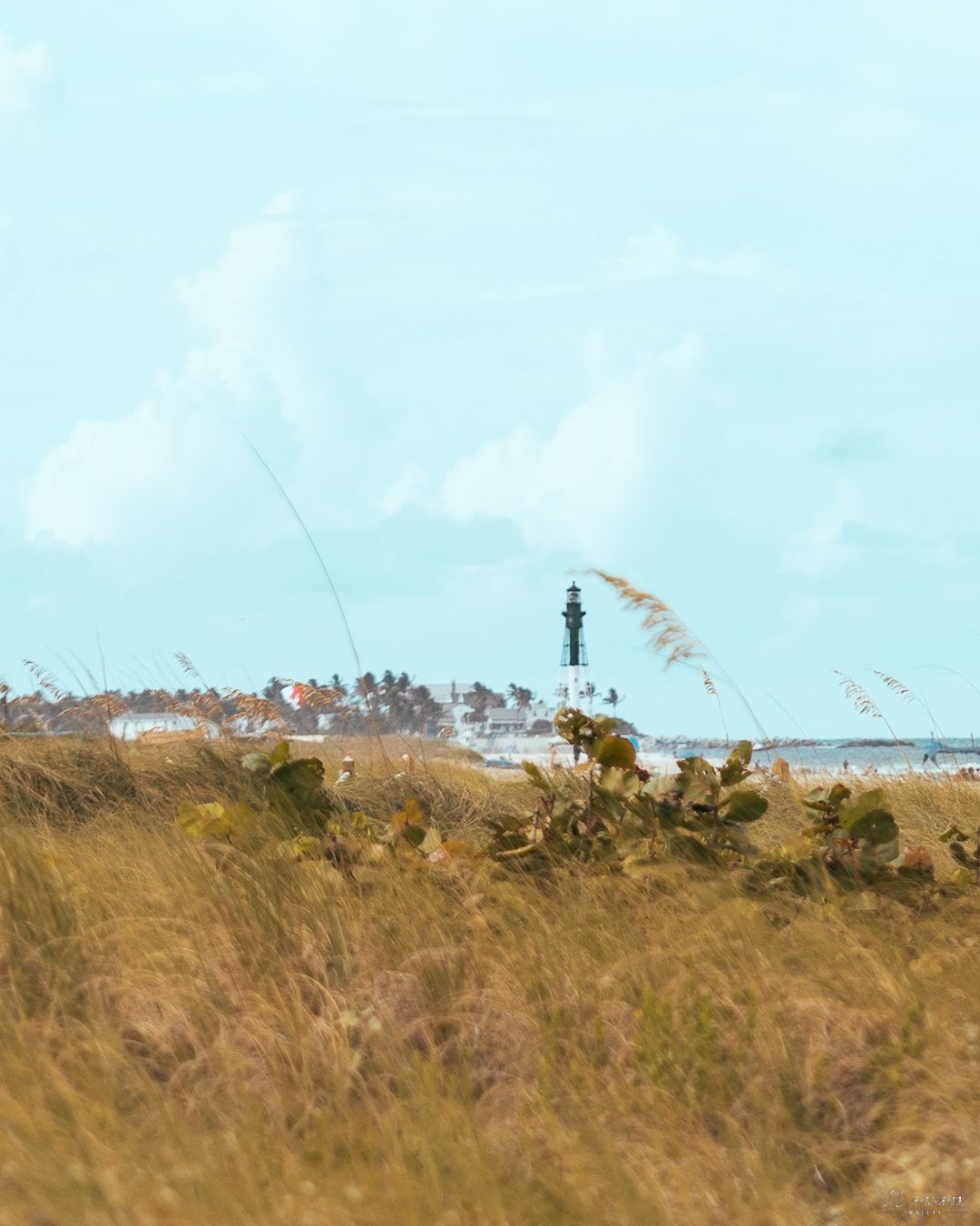 Lighthouse stands tall among coastal dunes and sea oats against blue sky.