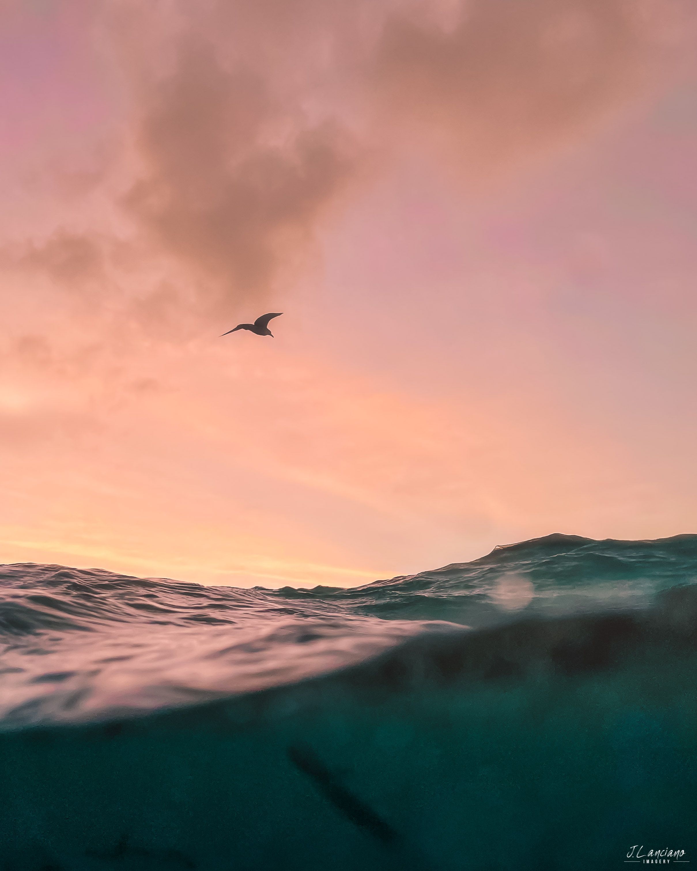 Split-shot photograph of ocean waves and seabird flying against pink sunset sky.