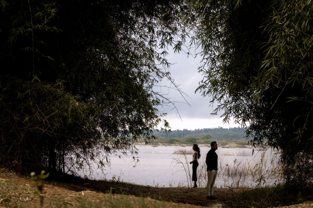 Scenic lakeside landscape view through tree branches.