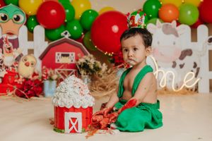 Farm-themed first birthday setup with red barn cake and colorful balloon arch.