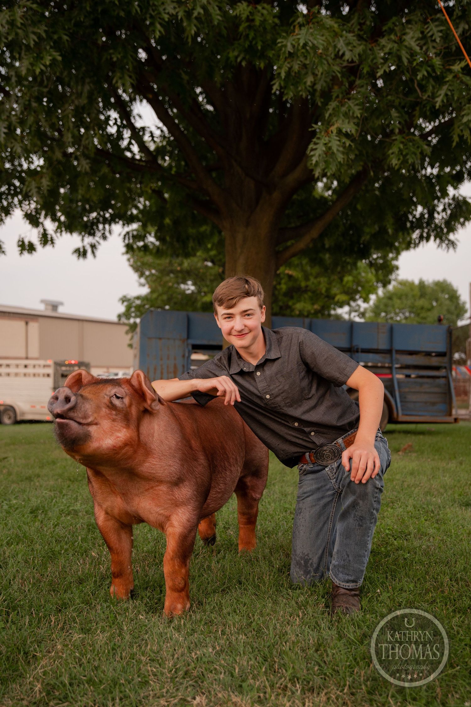 A red show pig poses with its handler on grass beneath a large shade tree at a fair.