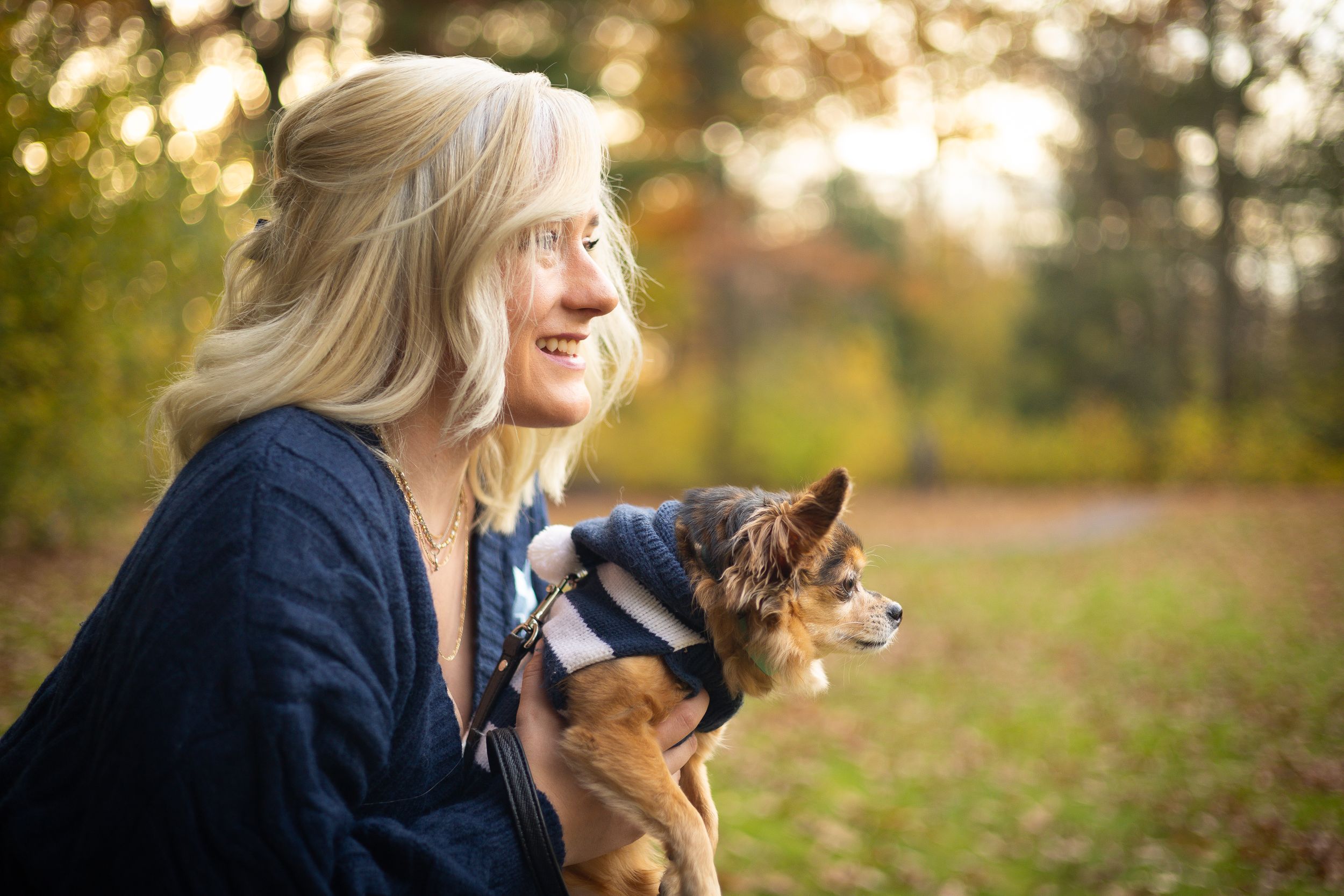 A small dog wearing a bandana sits with someone in a blue sweater during golden hour in an autumn setting.