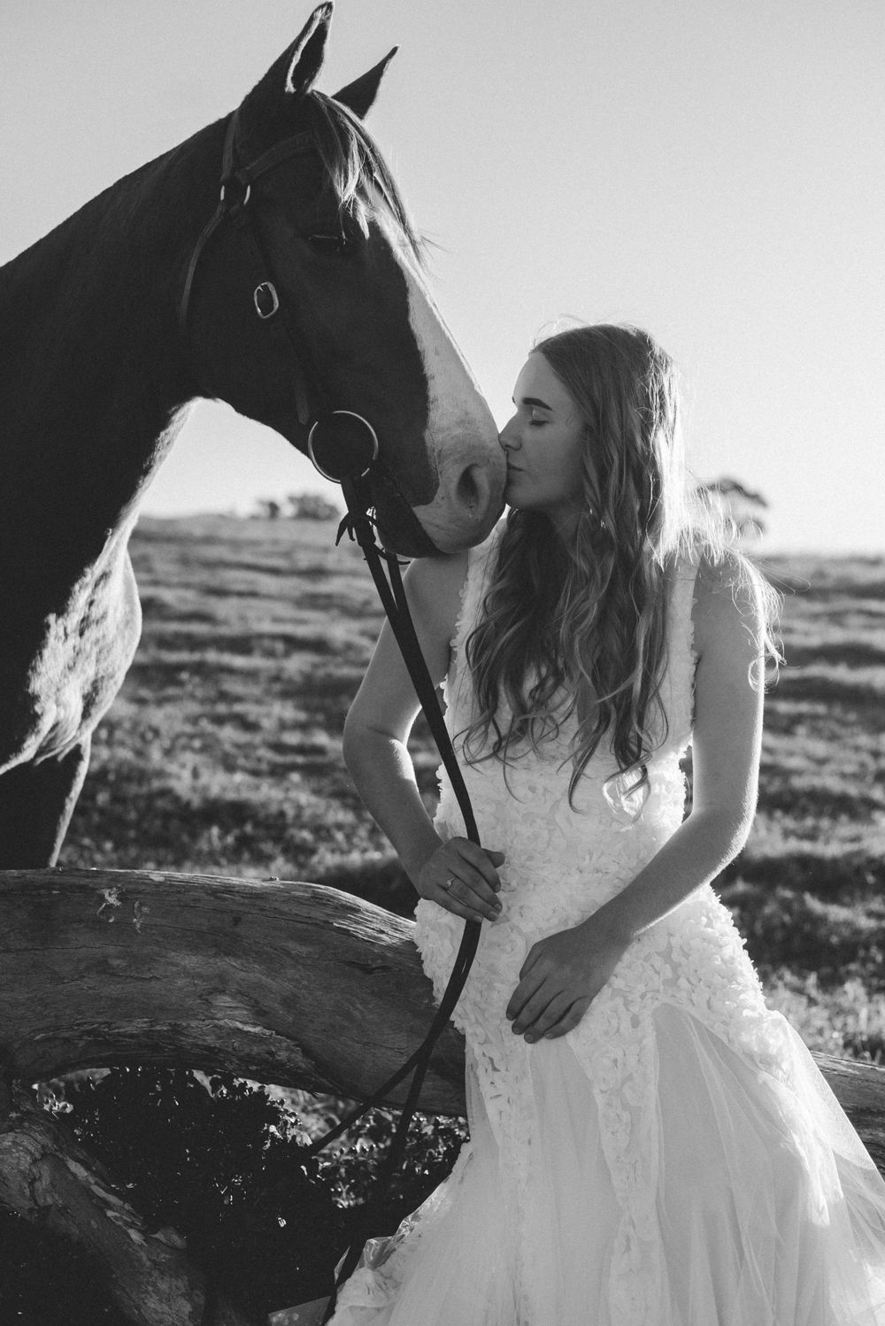 A close interaction between a black horse and someone in a white lace wedding dress.
