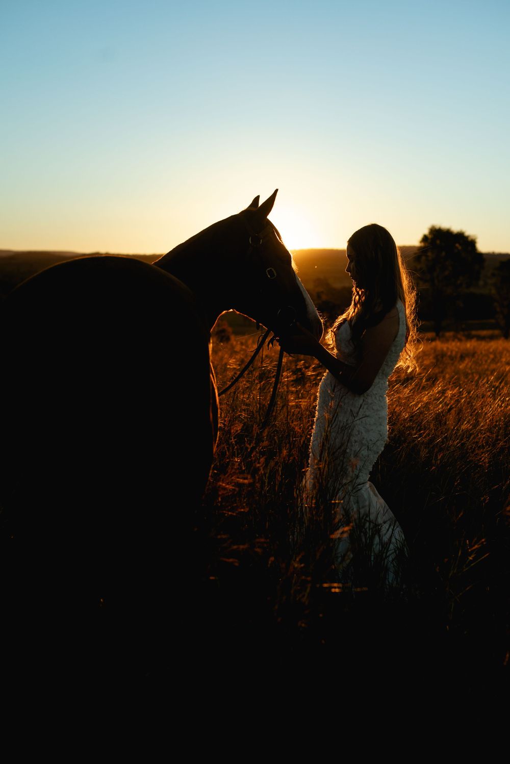 Silhouette of a horse and person standing in a field at sunset with golden light shining through.