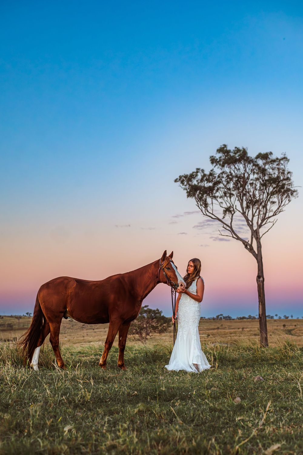 A sunset scene with a brown horse and someone in white dress standing by a lone tree.