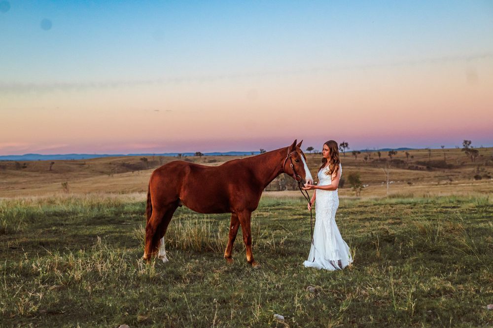 Brown horses graze in a rural field during golden hour with a white-clad figure in the distance.