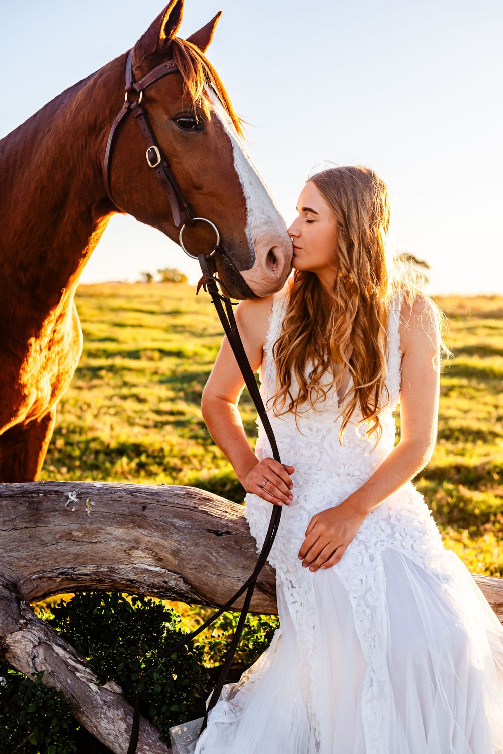 Sunset portraits with a horse and white dress against a fallen log in a grassy meadow.