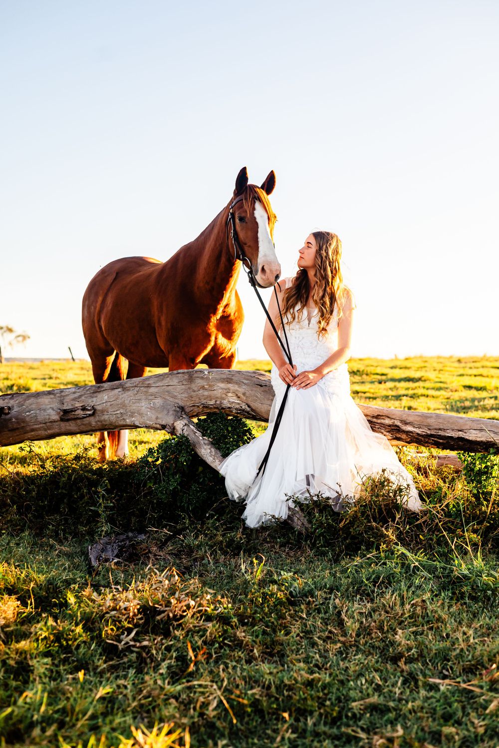 Golden hour photography session featuring a horse and white dress near a fallen tree trunk.