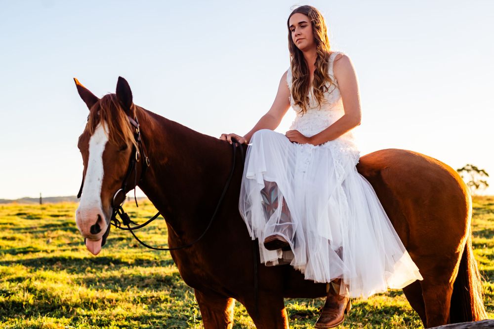 Sunset field photoshoot with a brown horse and flowing white dress in warm evening light.