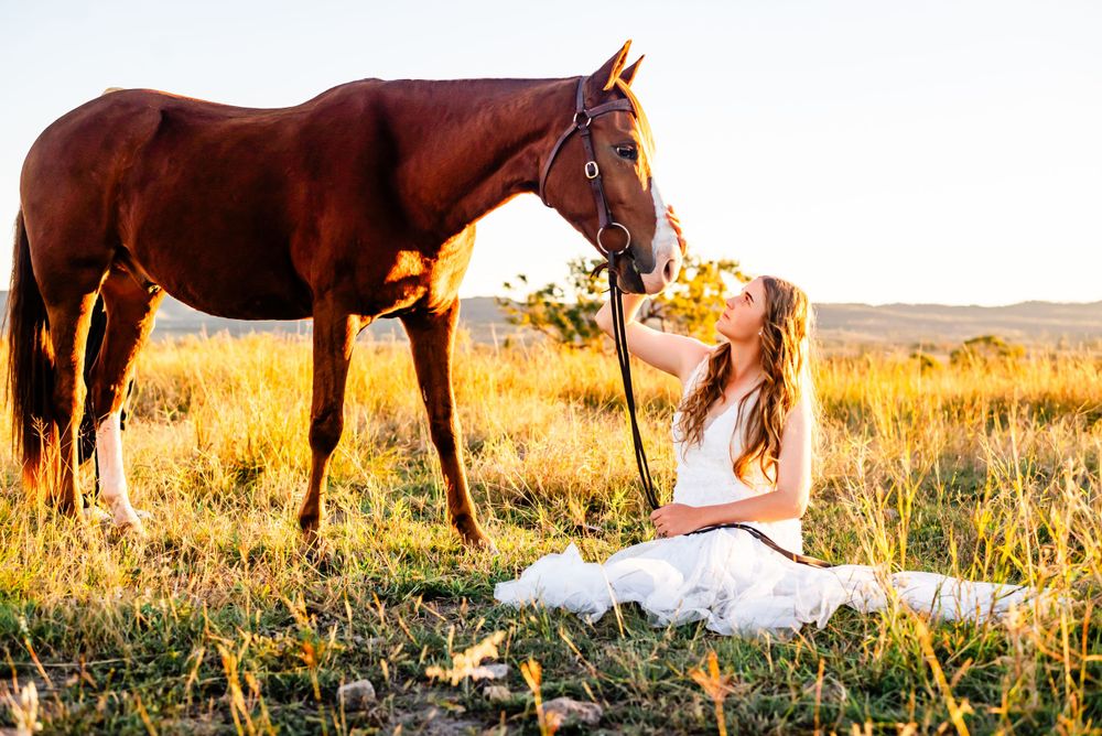 Brown horses grazing in a golden field at sunset with wildflowers in the foreground.