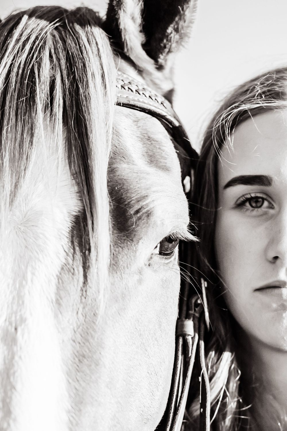 Dramatic black and white close-up composition showing a horse's face against light background.