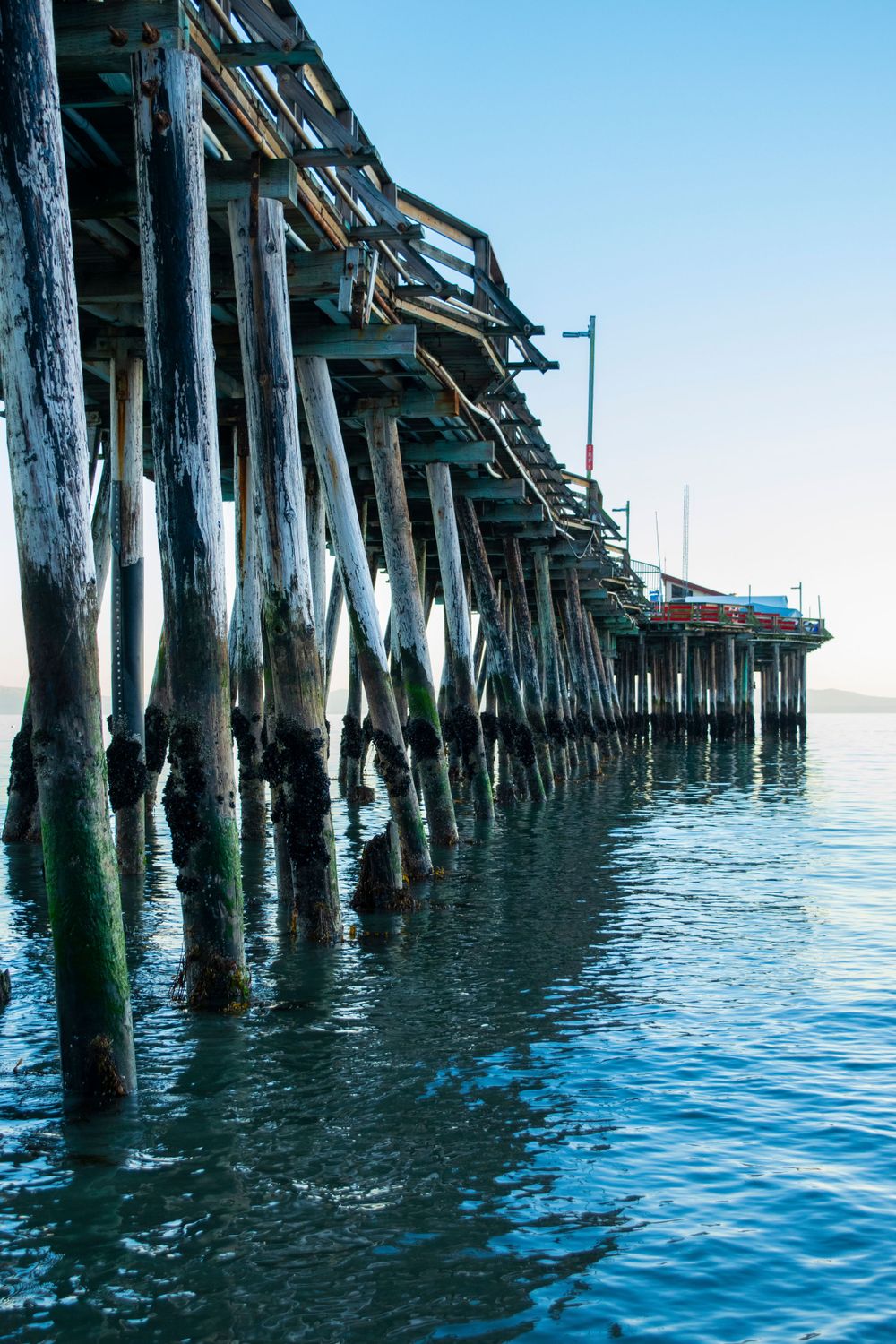Wooden pier pilings extend into calm blue waters under clear sky.