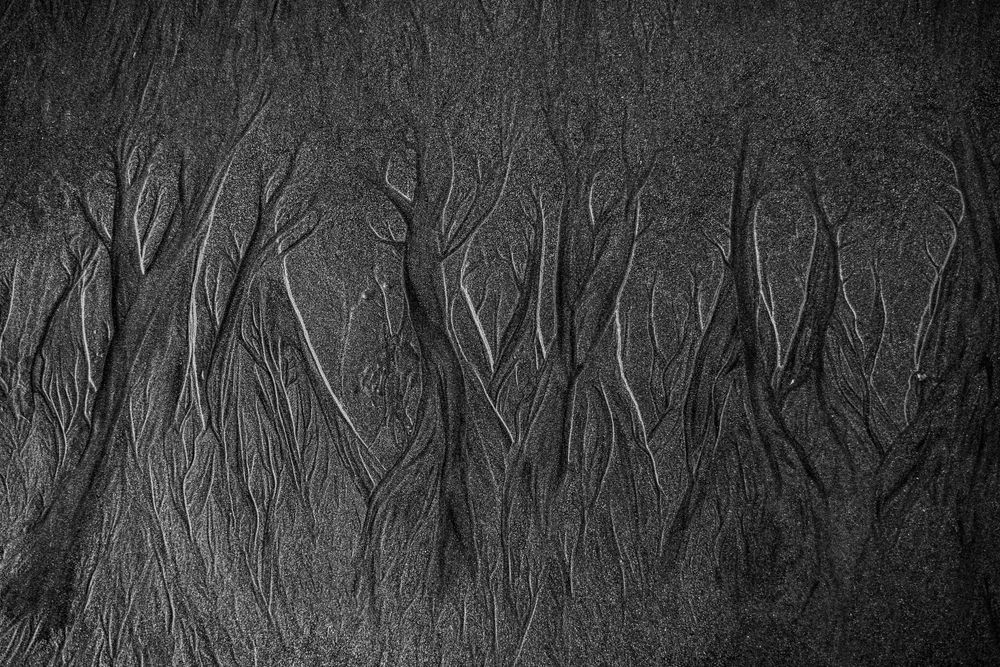 Abstract black and white pattern of tree-like erosion marks in sand or soil.