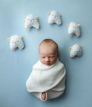 Newborn baby boy on blue backdrop with sheep. Greenville SC newborn photographer. - Easley Sc newborn photographer. Greenville SC photos