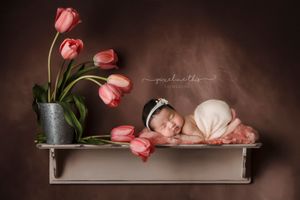 a beautiful composite of an Asian newborn baby girl. with pink tulips. - Greenville SC newborn photographer - Easley SC newborn photographer