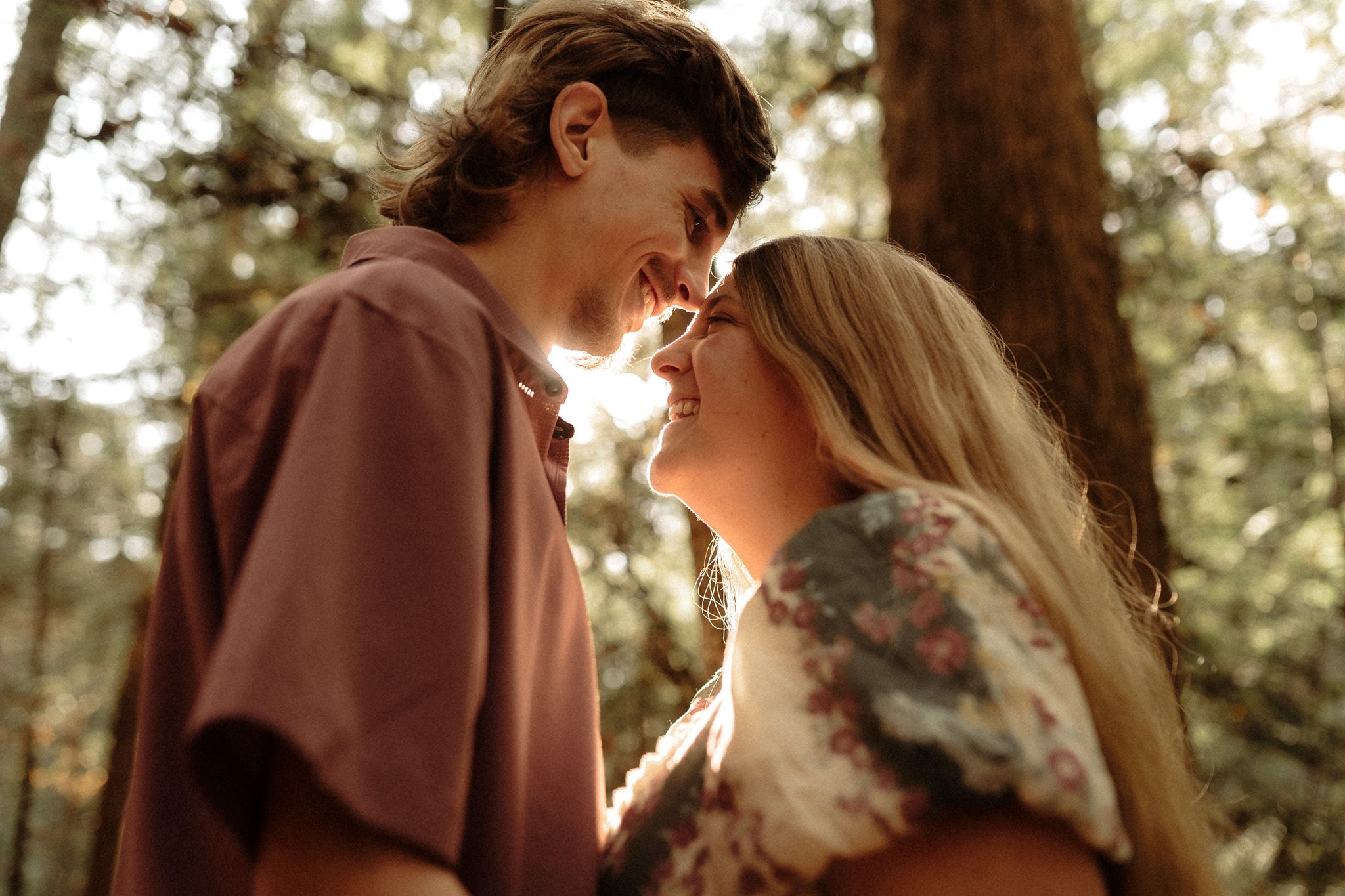 An intimate moment captured in warm sunlight filtering through forest trees.